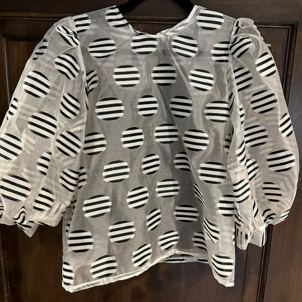 Hunter Bell Sheer Blouse with Puff Sleeve NWT M